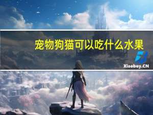 宠物狗猫可以吃什么水果