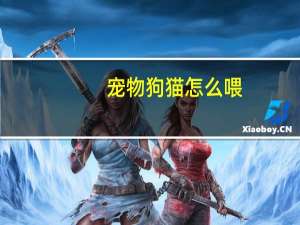 宠物狗猫怎么喂