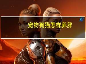 宠物狗猫怎样养胖