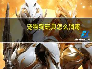 宠物狗玩具怎么消毒