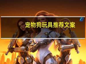 宠物狗玩具推荐文案