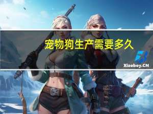 宠物狗生产需要多久