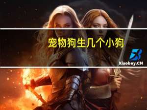 宠物狗生几个小狗