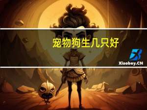 宠物狗生几只好