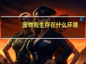 宠物狗生存在什么环境