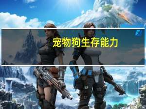 宠物狗生存能力