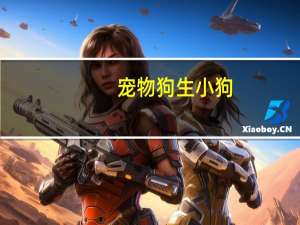 宠物狗生小狗
