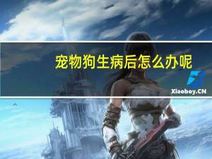 宠物狗生病后怎么办呢