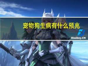 宠物狗生病有什么预兆