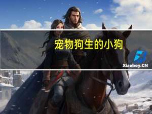 宠物狗生的小狗