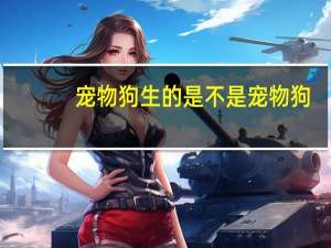 宠物狗生的是不是宠物狗