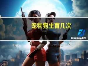 宠物狗生育几次