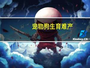 宠物狗生育难产