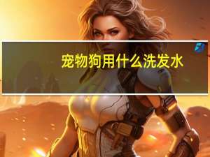 宠物狗用什么洗发水