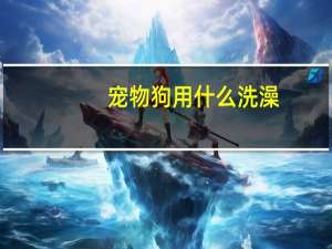 宠物狗用什么洗澡
