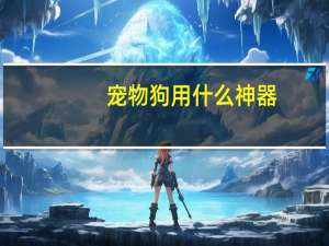 宠物狗用什么神器