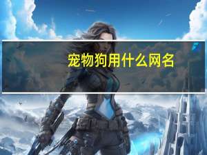 宠物狗用什么网名