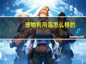 宠物狗用品怎么样的