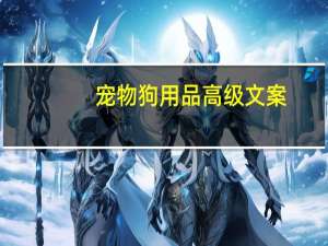 宠物狗用品高级文案