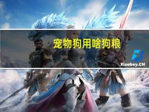 宠物狗用啥狗粮