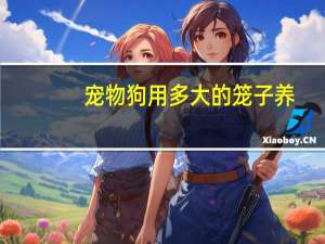 宠物狗用多大的笼子养