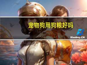 宠物狗用狗粮好吗