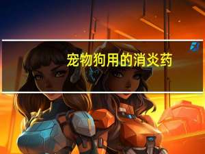 宠物狗用的消炎药