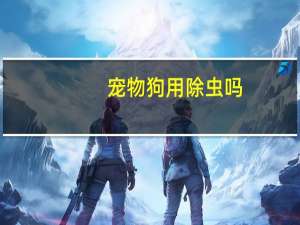 宠物狗用除虫吗
