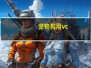 宠物狗用vc