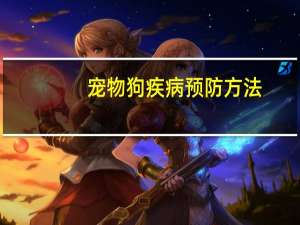 宠物狗疾病预防方法