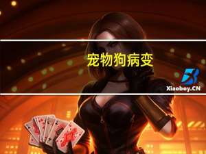 宠物狗病变