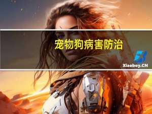 宠物狗病害防治
