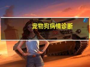 宠物狗病情诊断
