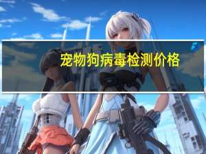 宠物狗病毒检测价格