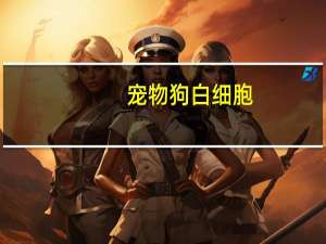 宠物狗白细胞