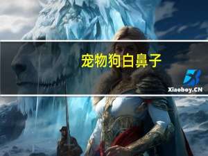 宠物狗白鼻子