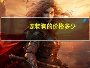 宠物狗的价格多少