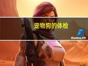 宠物狗的体检