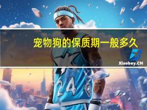 宠物狗的保质期一般多久