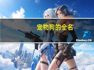 宠物狗的全名