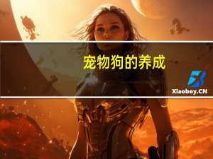 宠物狗的养成
