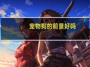 宠物狗的前景好吗
