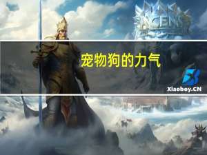 宠物狗的力气