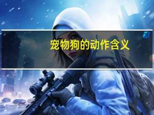 宠物狗的动作含义