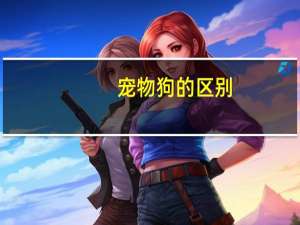宠物狗的区别