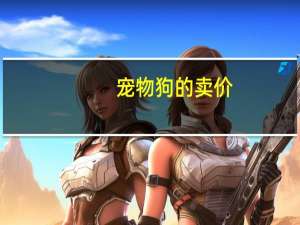 宠物狗的卖价
