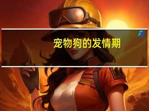 宠物狗的发情期