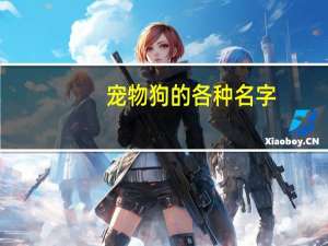 宠物狗的各种名字