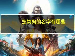 宠物狗的名字有哪些