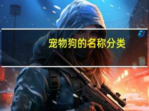 宠物狗的名称分类